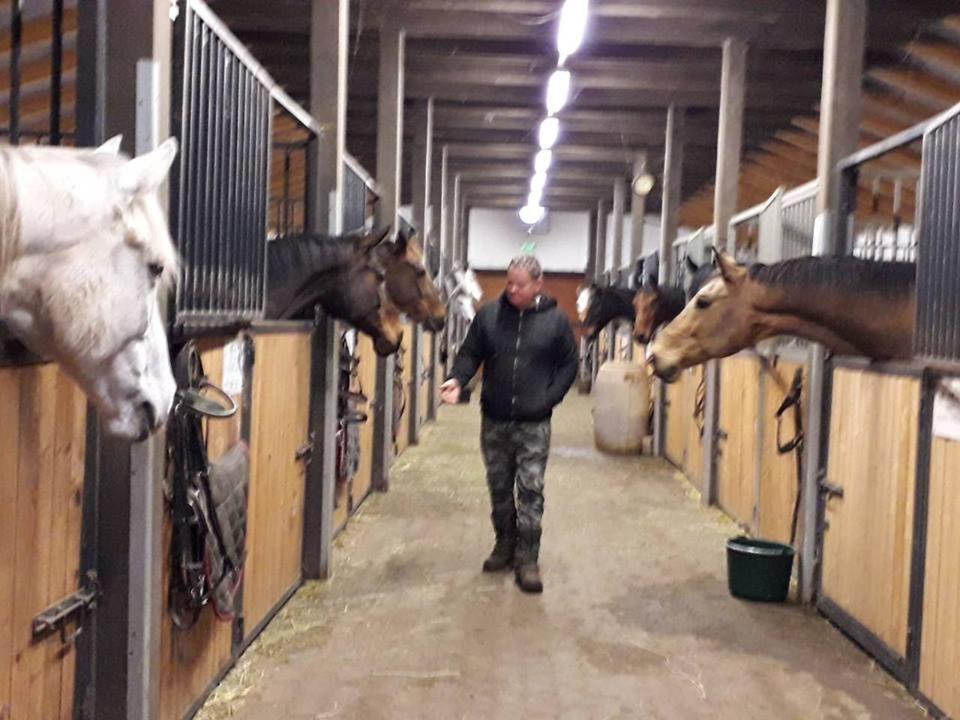 Caballus Lovasmajor Panzio Nyiregyhaza Bagian luar foto